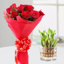 Lucky Bamboo Plant + Roses Combo 